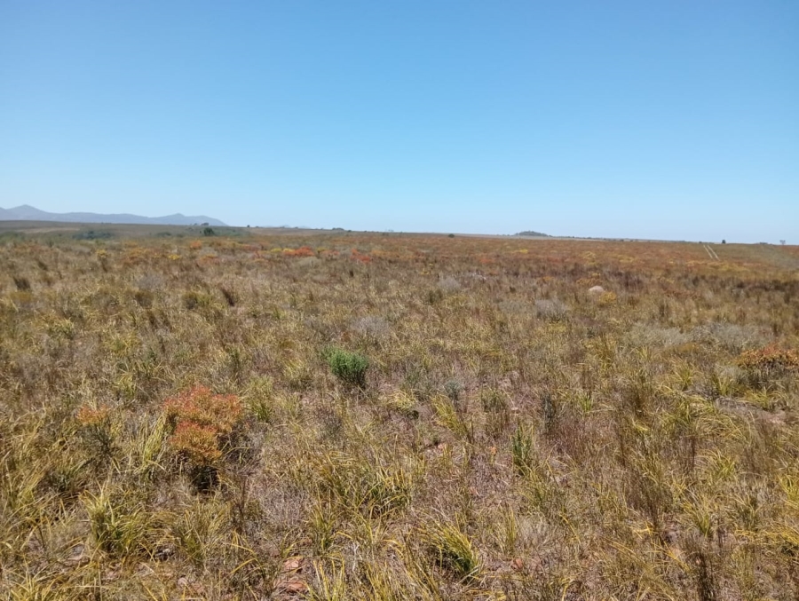Commercial Property for Sale in Humansdorp Rural Eastern Cape
